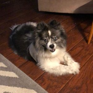 Meet your Posher, Marsha